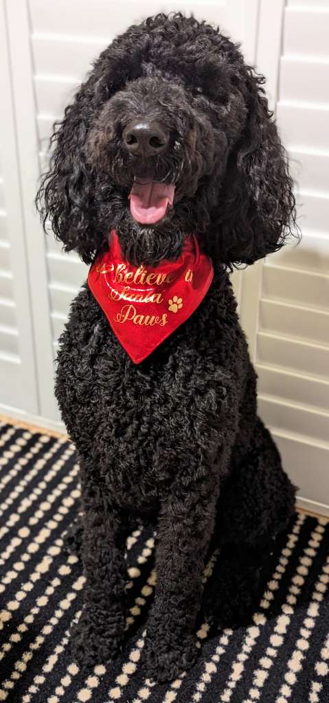 PXL_20231225_220859130.PORTRAIT~2