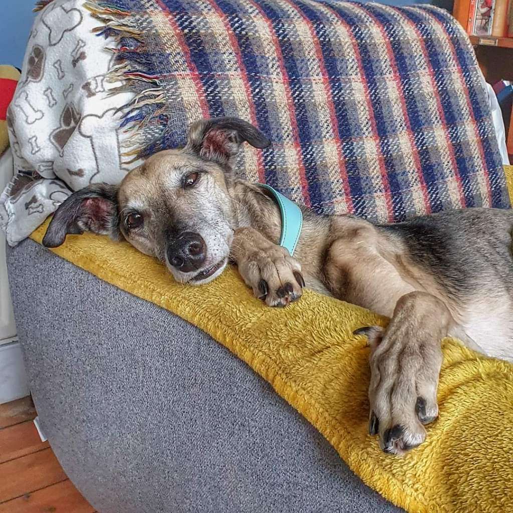 FB_IMG_1703672564741