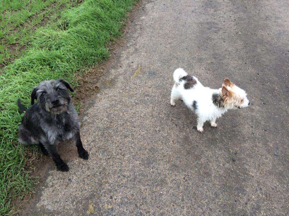 FB_IMG_1703672538750