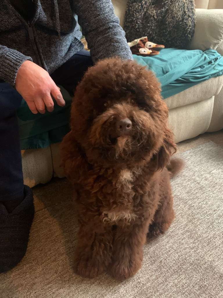 17B372E7-2E6C-4727-A2B0-67F07092BB65