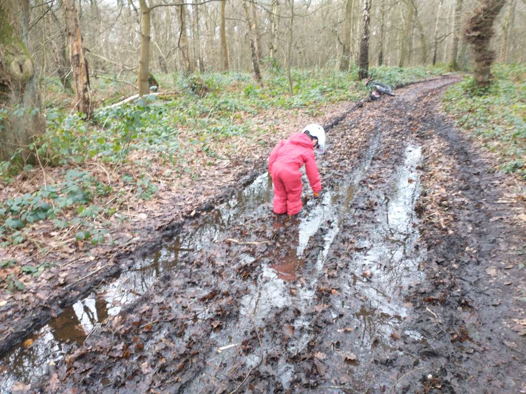 IMG_20231229_110656469