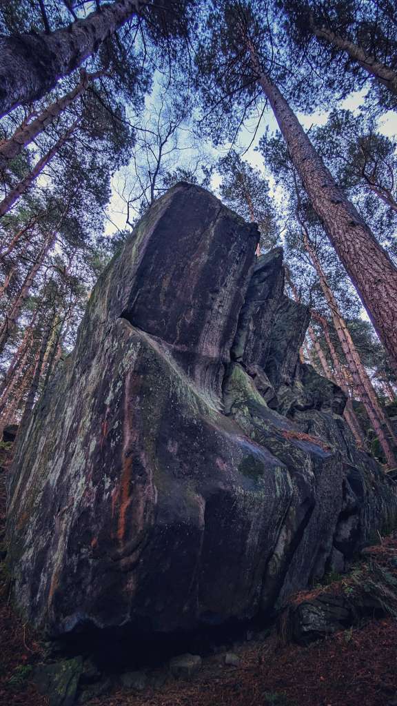 PXL_20231231_134541775.MP-01