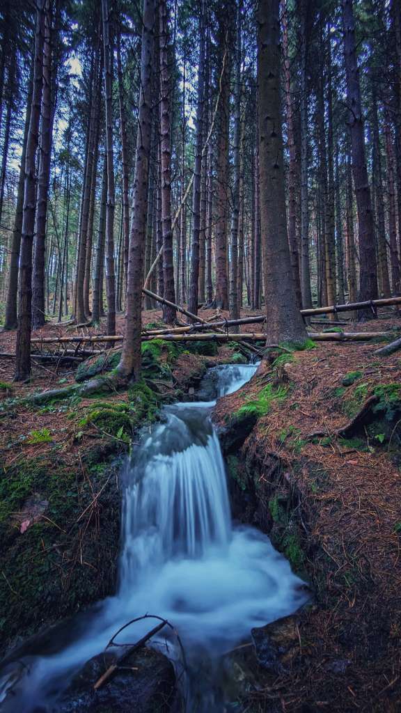 PXL_20231231_135511922.LONG_EXPOSURE-01.COVER-01