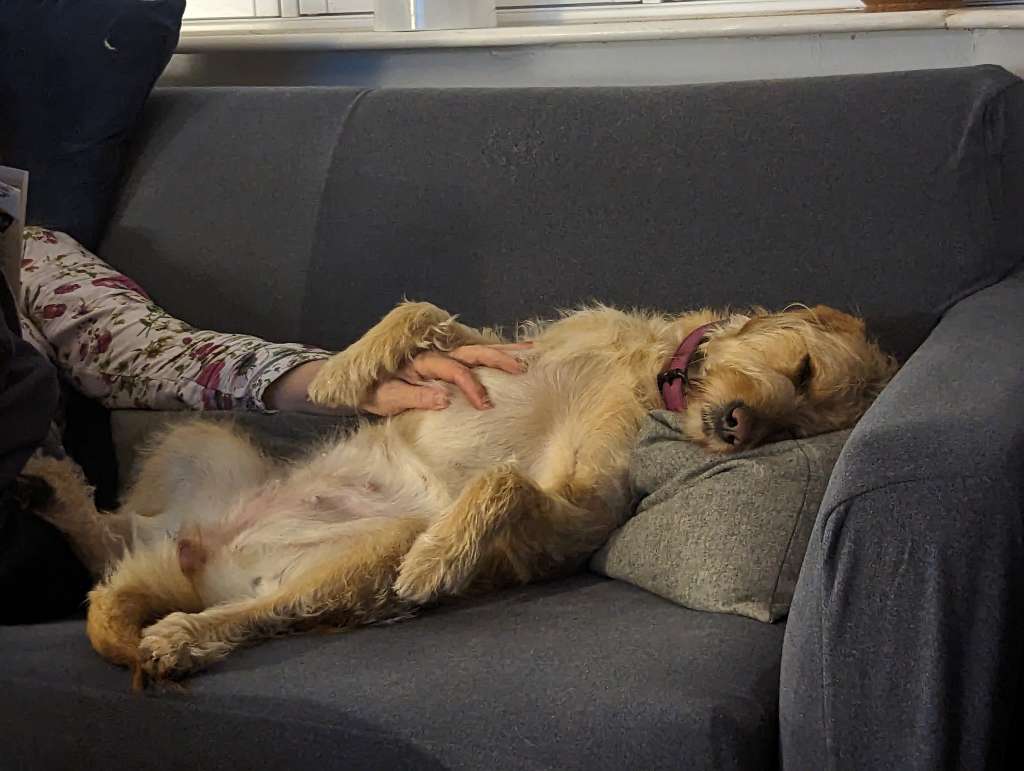 PXL_20231231_204238809