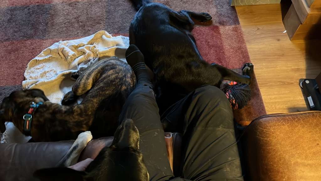 69316A4F-760E-458F-B4F6-7CE78A26C469