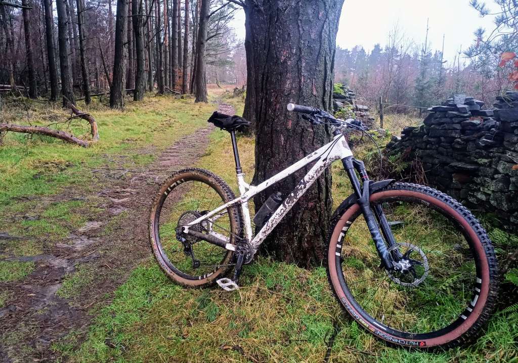 IMG_20240102_104625~4