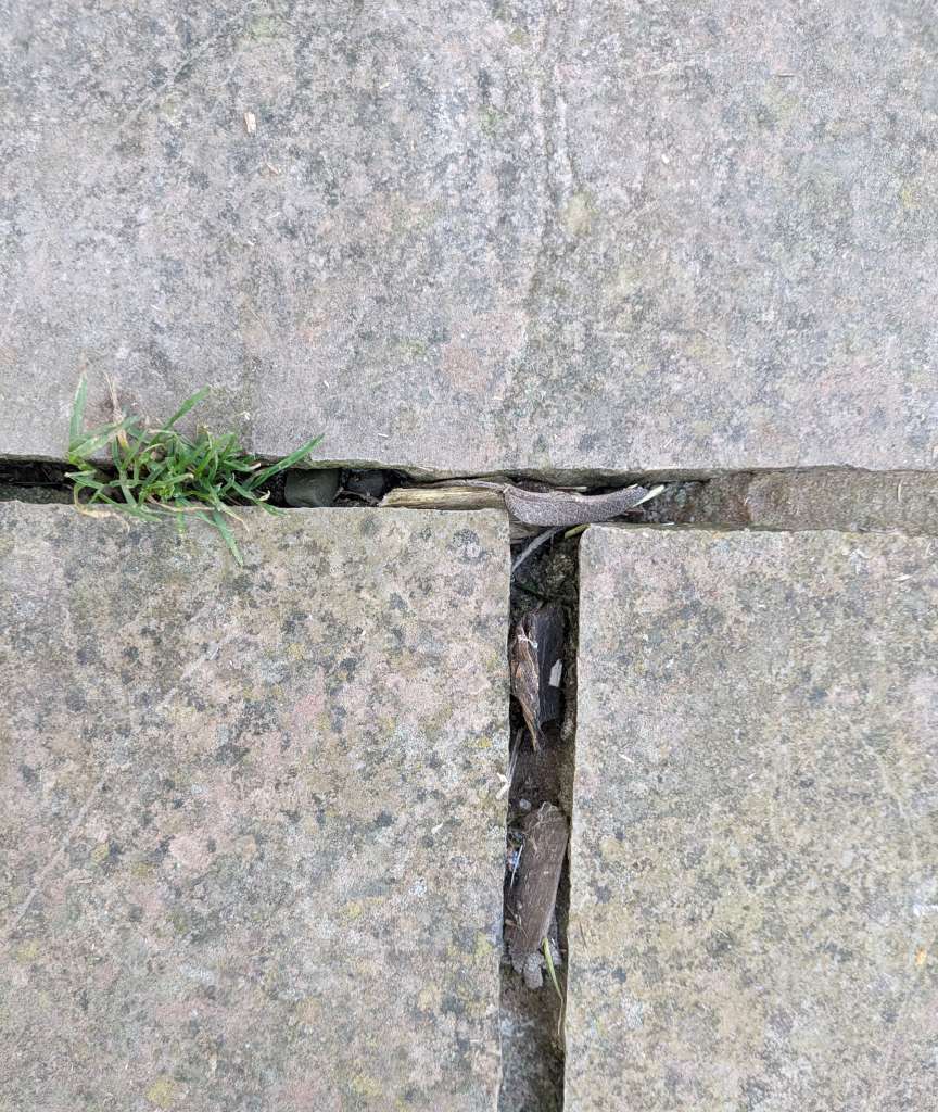 PXL_20240110_092820036