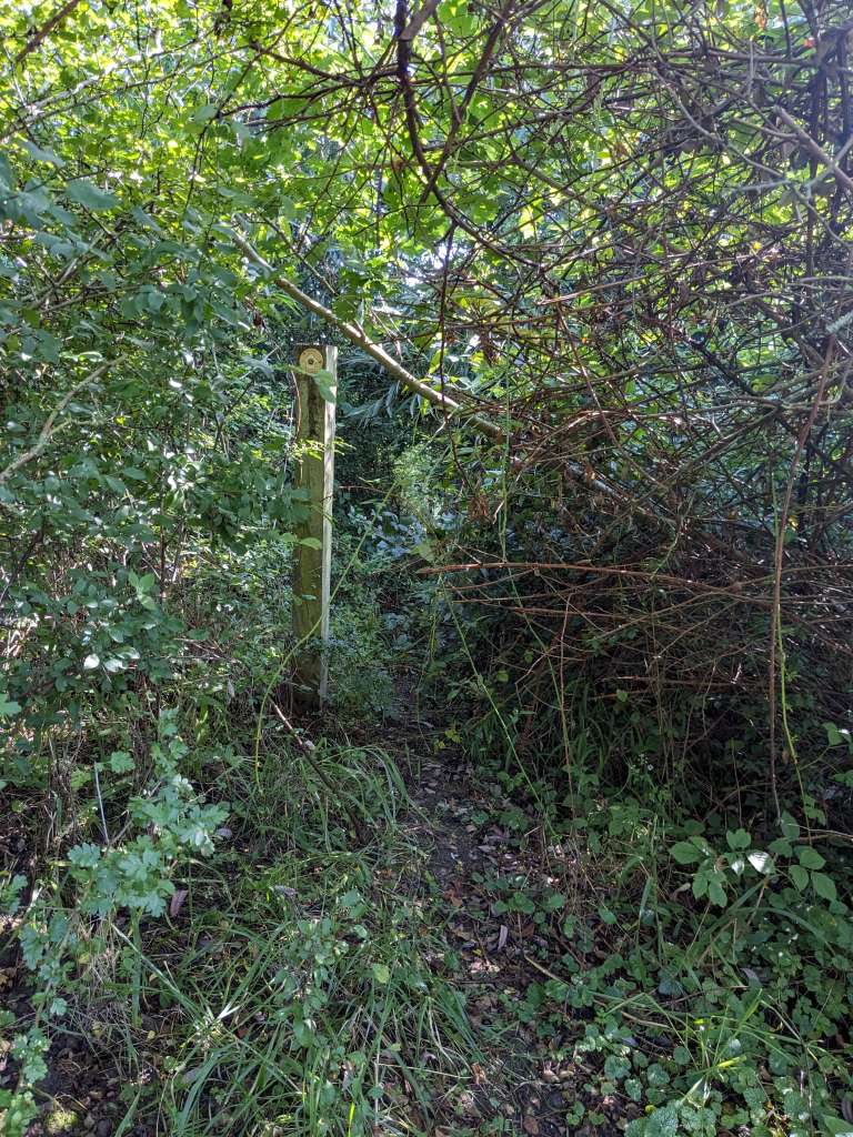 PXL_20230902_093429262