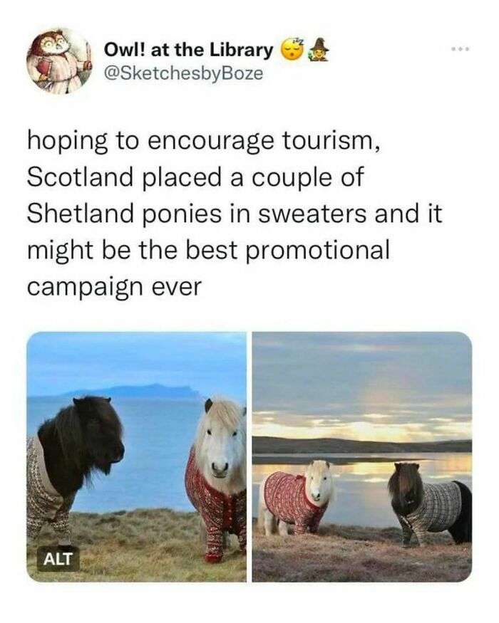 CvSRgNrrNeL-png__700