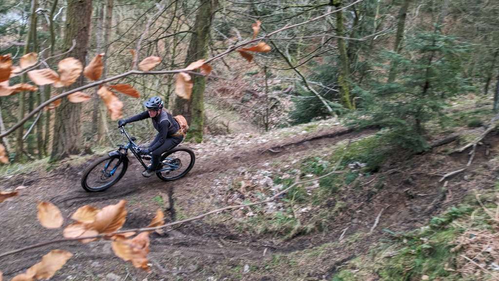 PXL_20240113_094525856-01