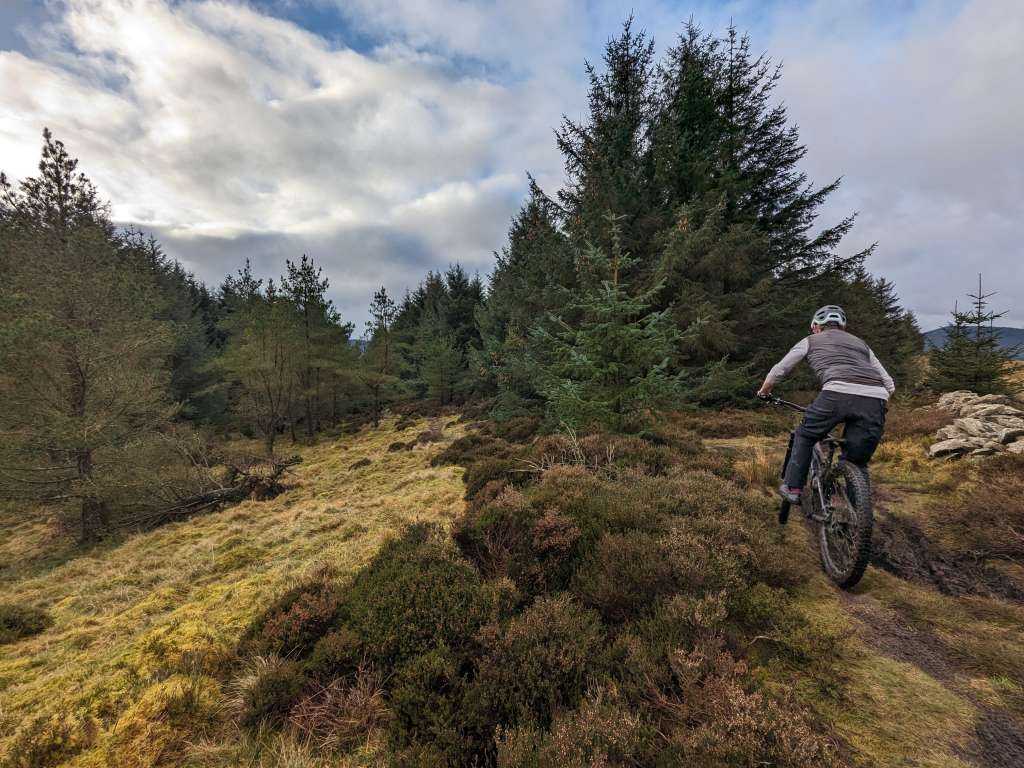 PXL_20240113_114855105