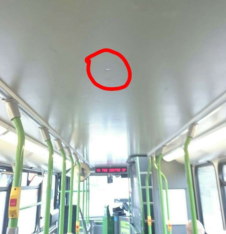 12193573_10153169192836615_1302451071005982070_n