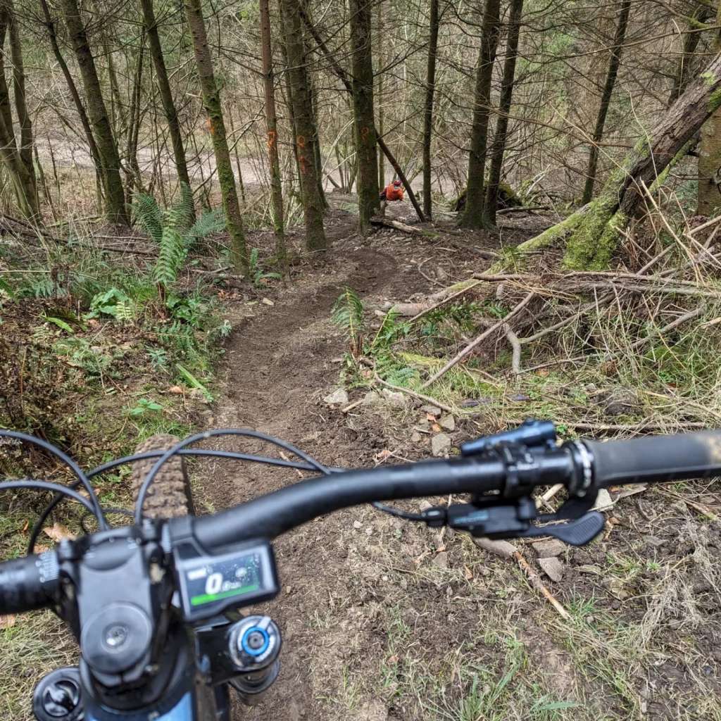 4d08767a-b125-494e-bd9f-1cd3c75cf4b5