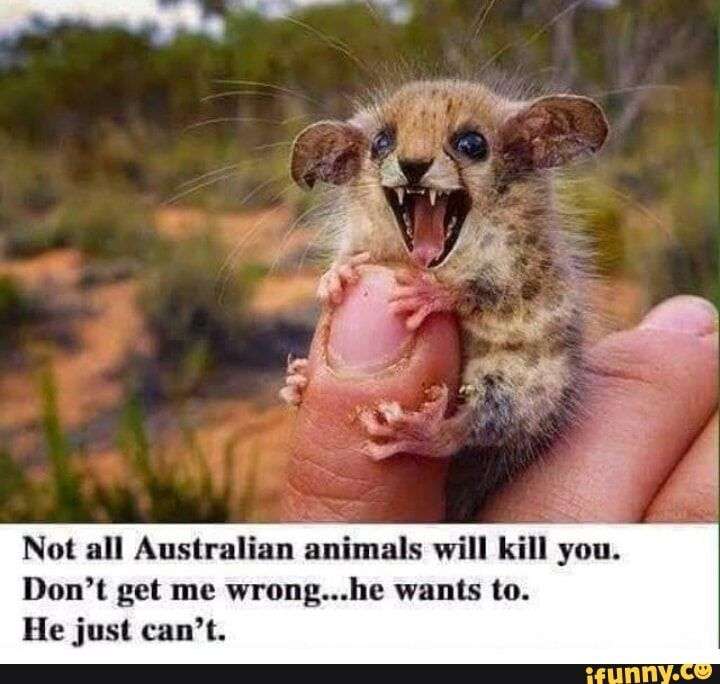 WhatsApp Image 2023-12-23 at 16.47.26