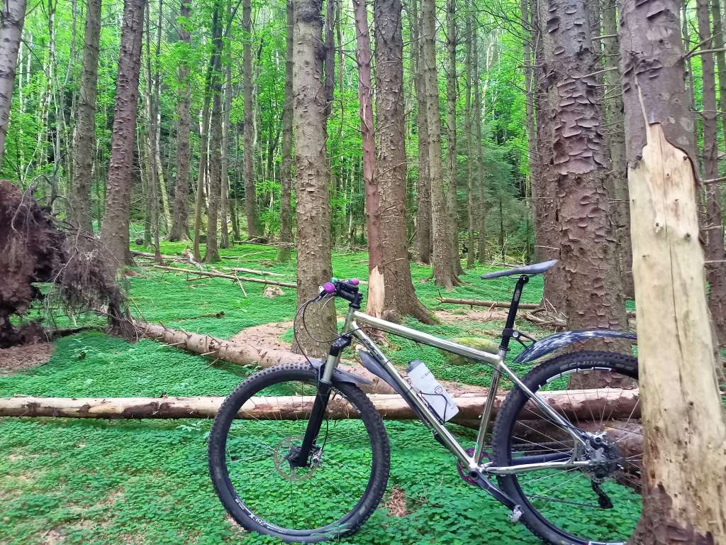 IMG20210627194526 (3)