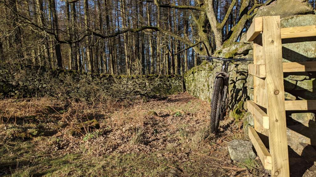 PXL_20240203_122218072