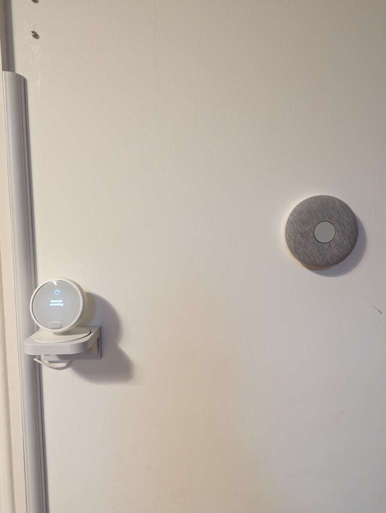 PXL_20240204_104851461