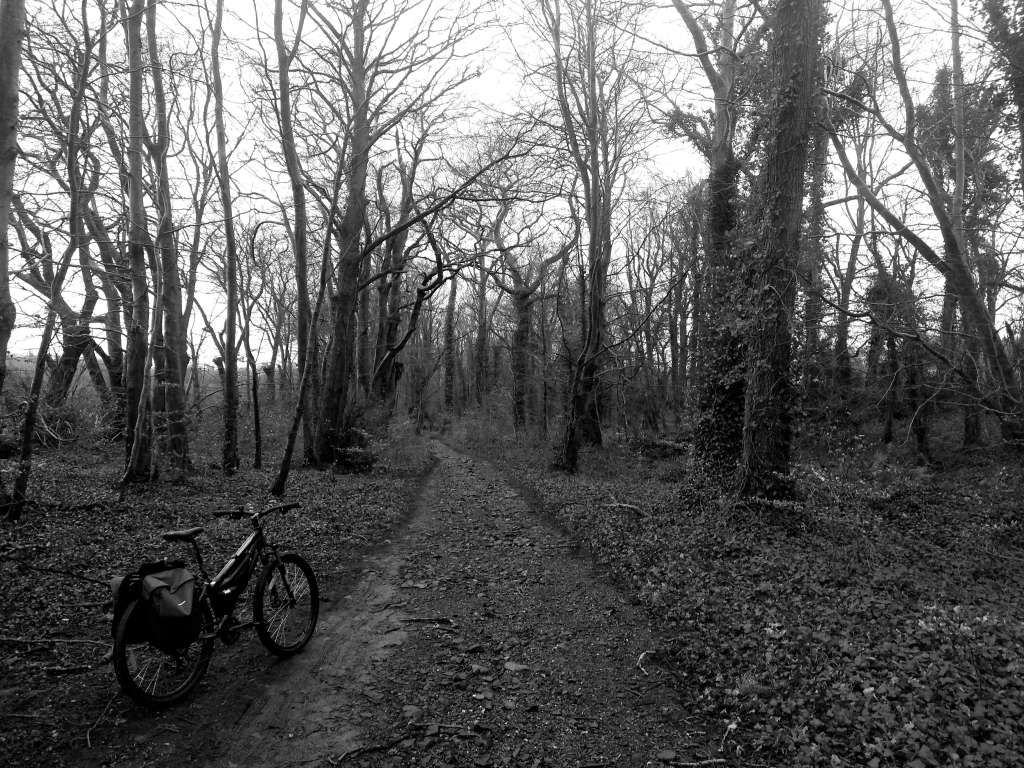 IMG_20240204_112538170~2