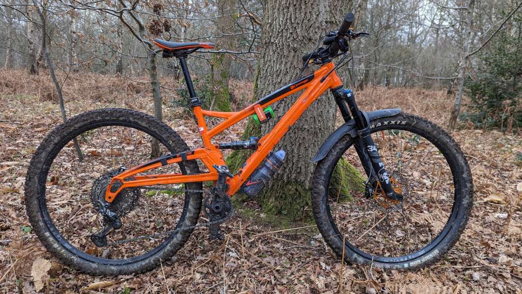 PXL_20240203_154741264