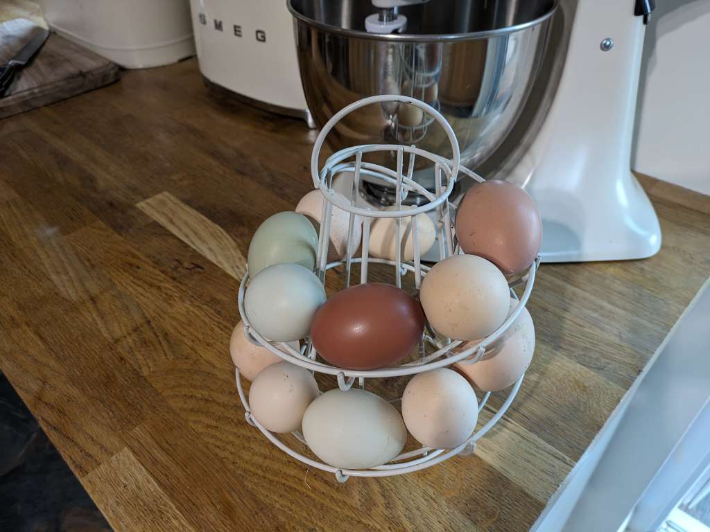 PXL_20240210_100700429