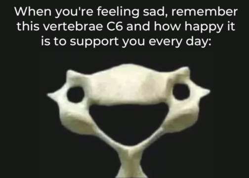 156194-main-qimg-d91ed06e346211bb02de2006ab5b231d