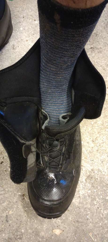 IMG_20240211_170152803