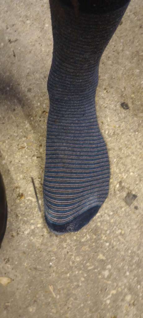 IMG_20240211_170212109