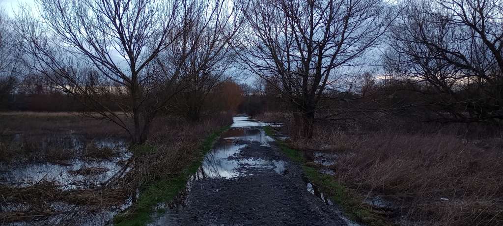 IMG_20240211_165337683