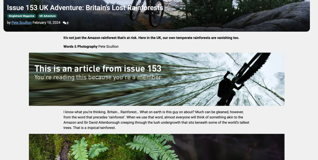 Screenshot 2024-02-15 at 17.35.08