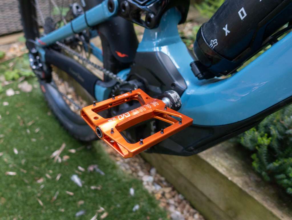 53108446816_e28d1abb57_k