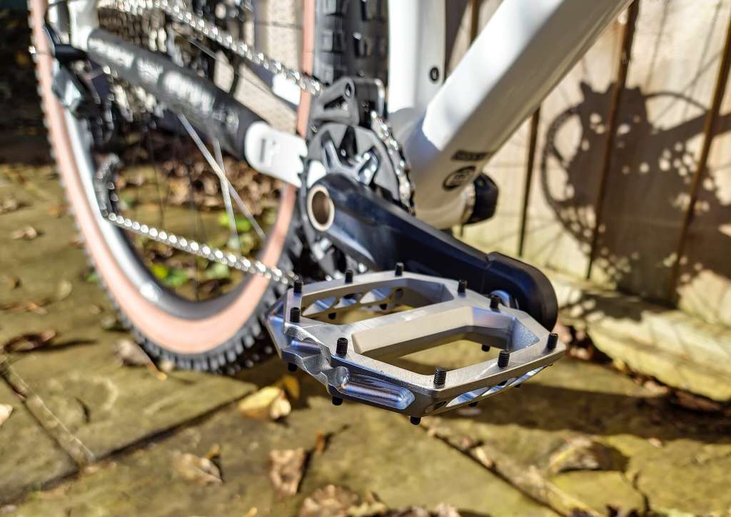 53324589204_7ef36f3cfc_k