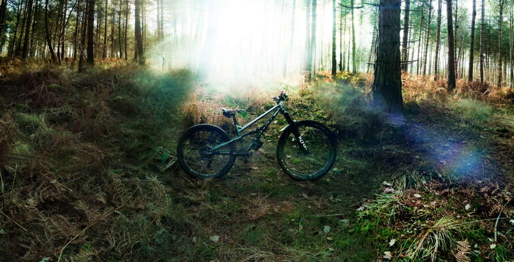 2024 01 14 Squirrels And Fish 06 (1)