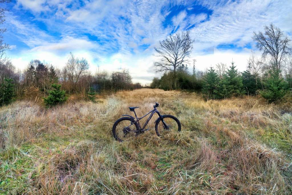 2024 02 03 Its A Swamp 06 (1)