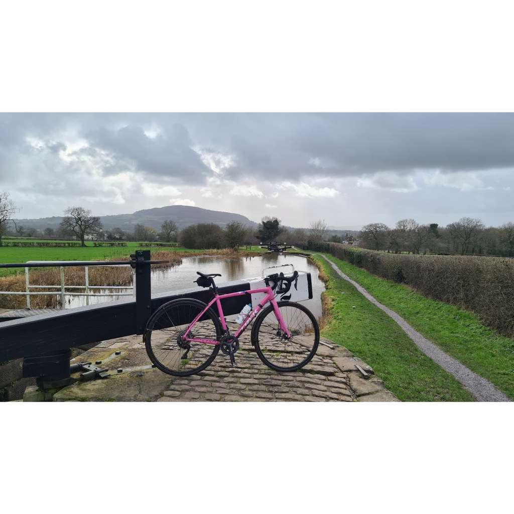 InCollage_20240219_150457020