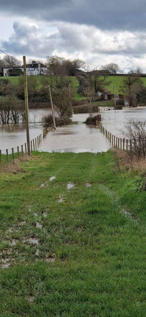 53566092667_e6916a6ae4_k