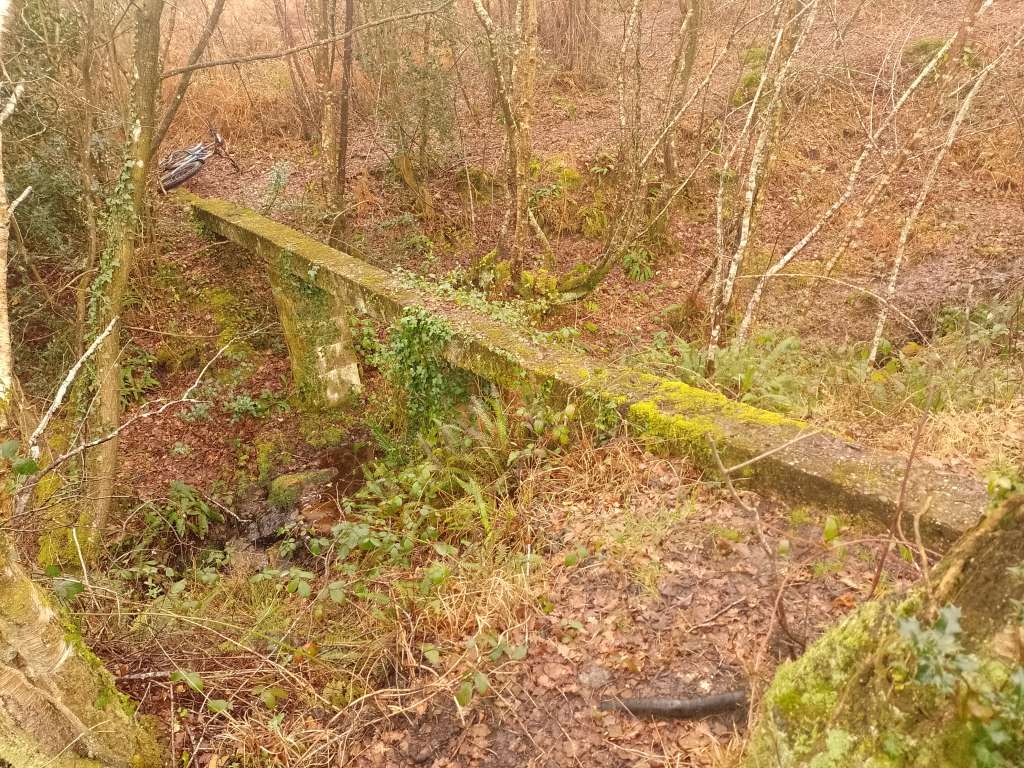 IMG_20240309_095217_693