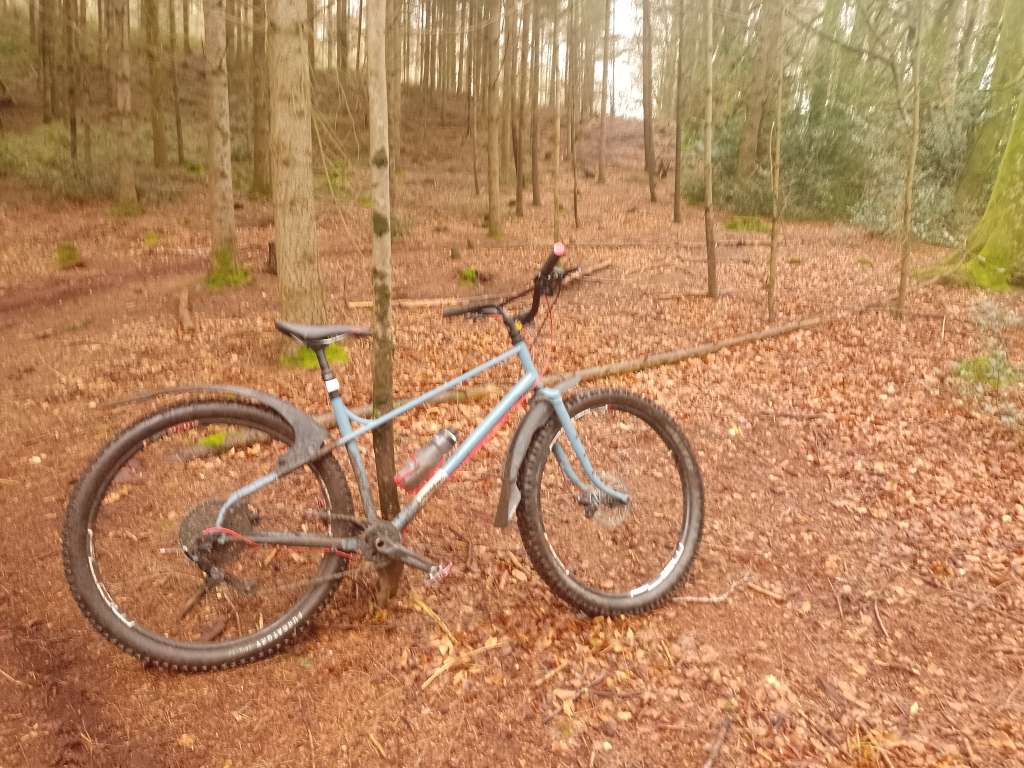 IMG_20240309_113052_785