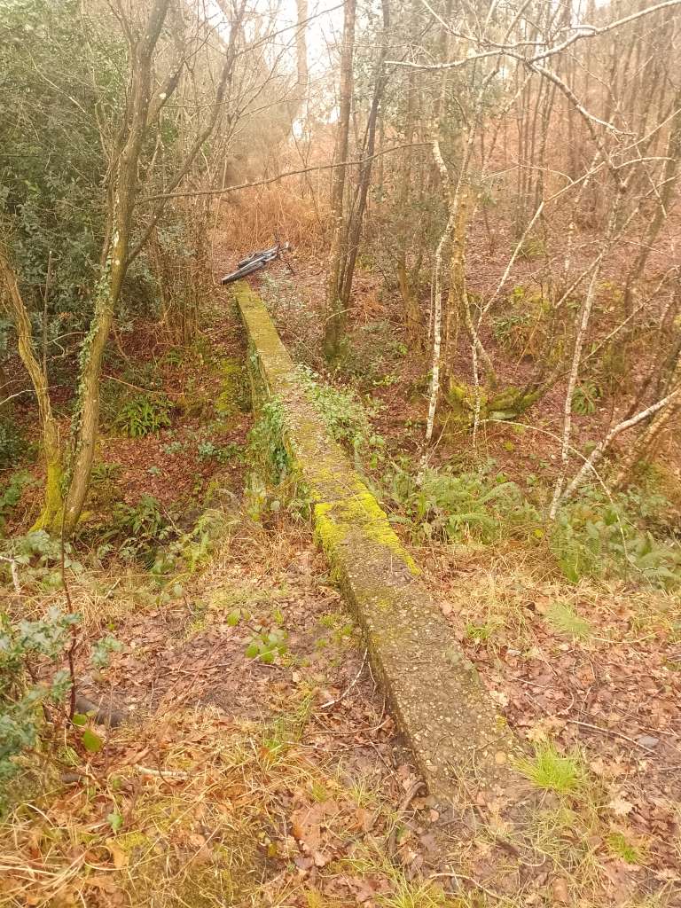 IMG_20240309_095227_335