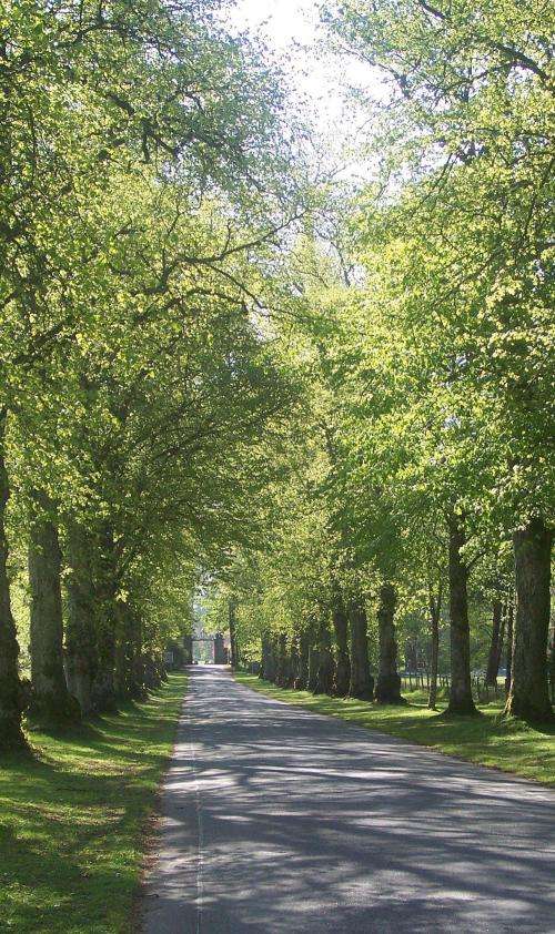 blair_castle_drive