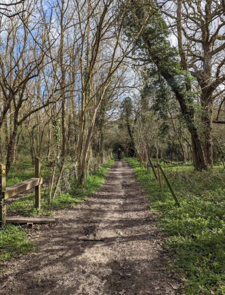 WhatsApp Image 2024-03-24 at 14.28.37