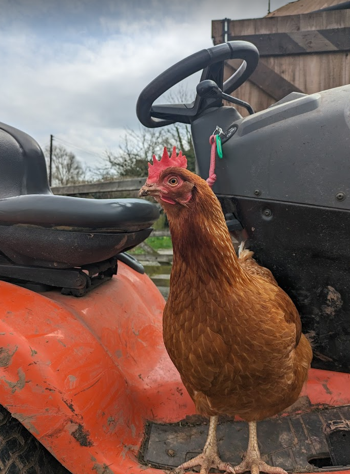 Screenshot 2024-03-27 10.23.10