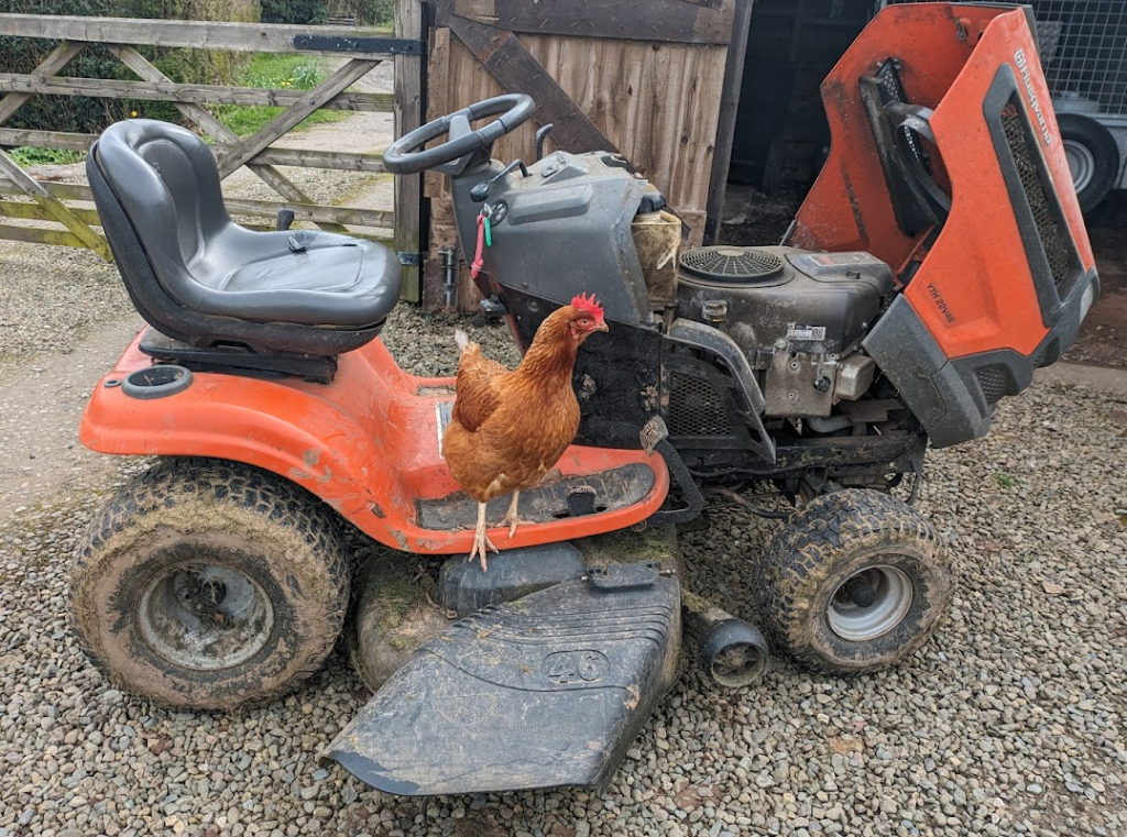 Screenshot 2024-03-27 10.25.09