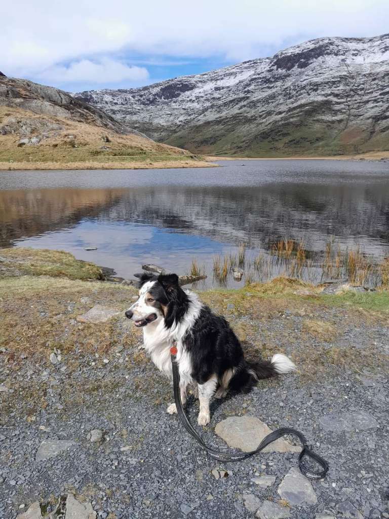 FB_IMG_1711650577205