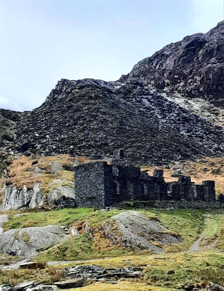 FB_IMG_1711650589343