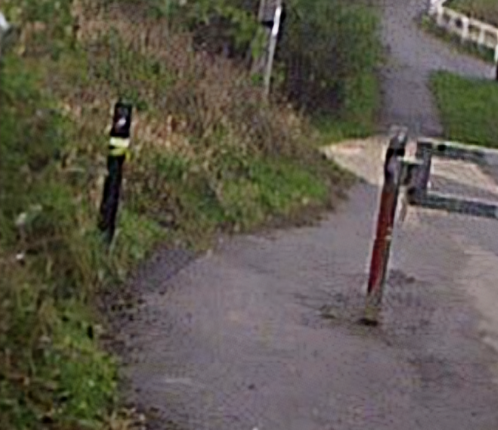 Screenshot_20240329-095638~2