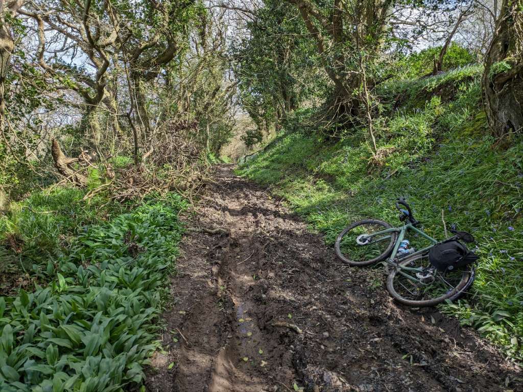 PXL_20240409_114453629