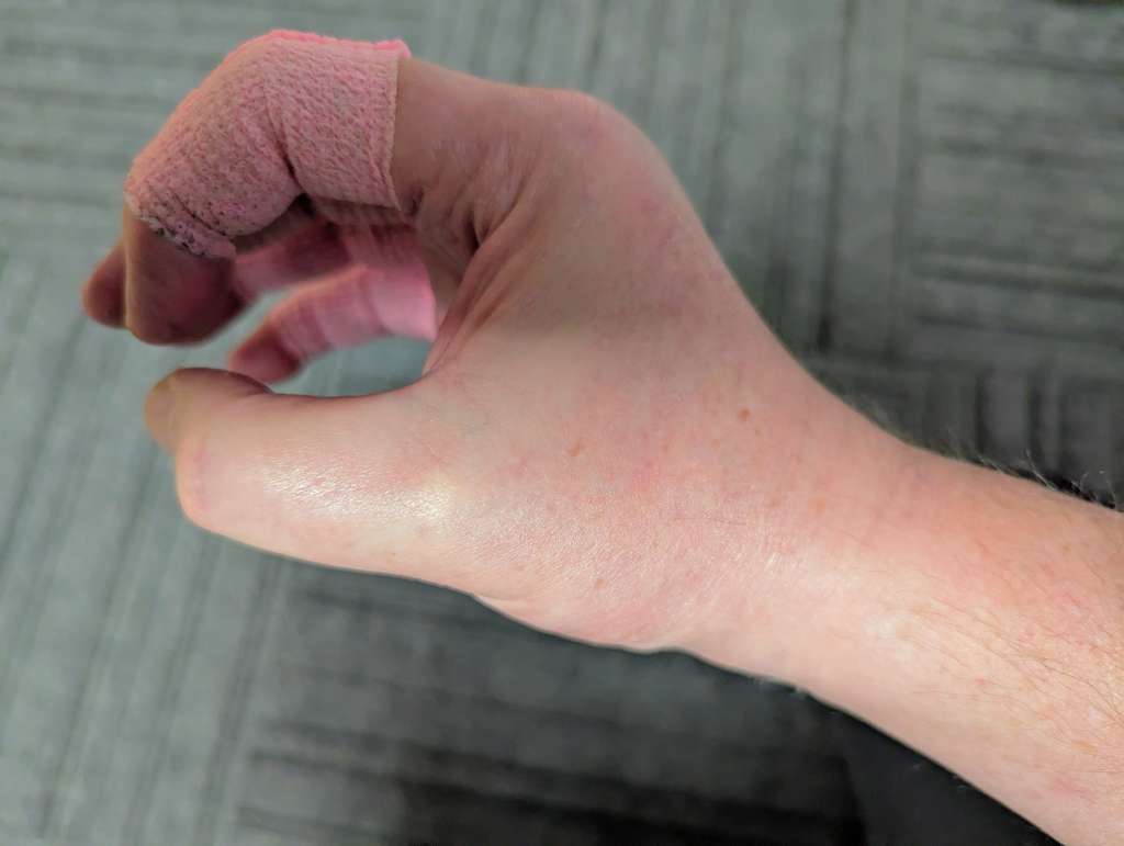 PXL_20241126_161752344