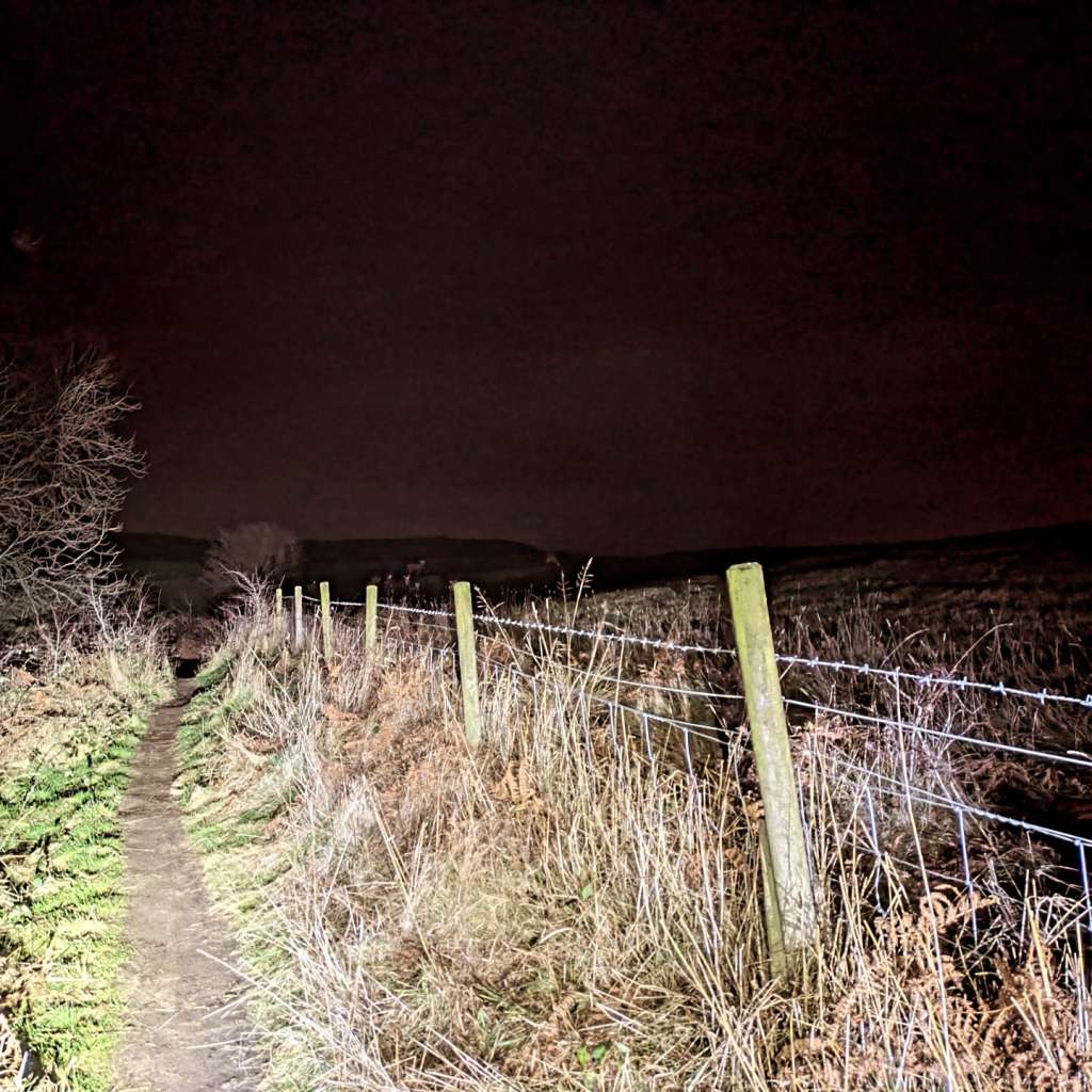 IMG_20241212_063429_938