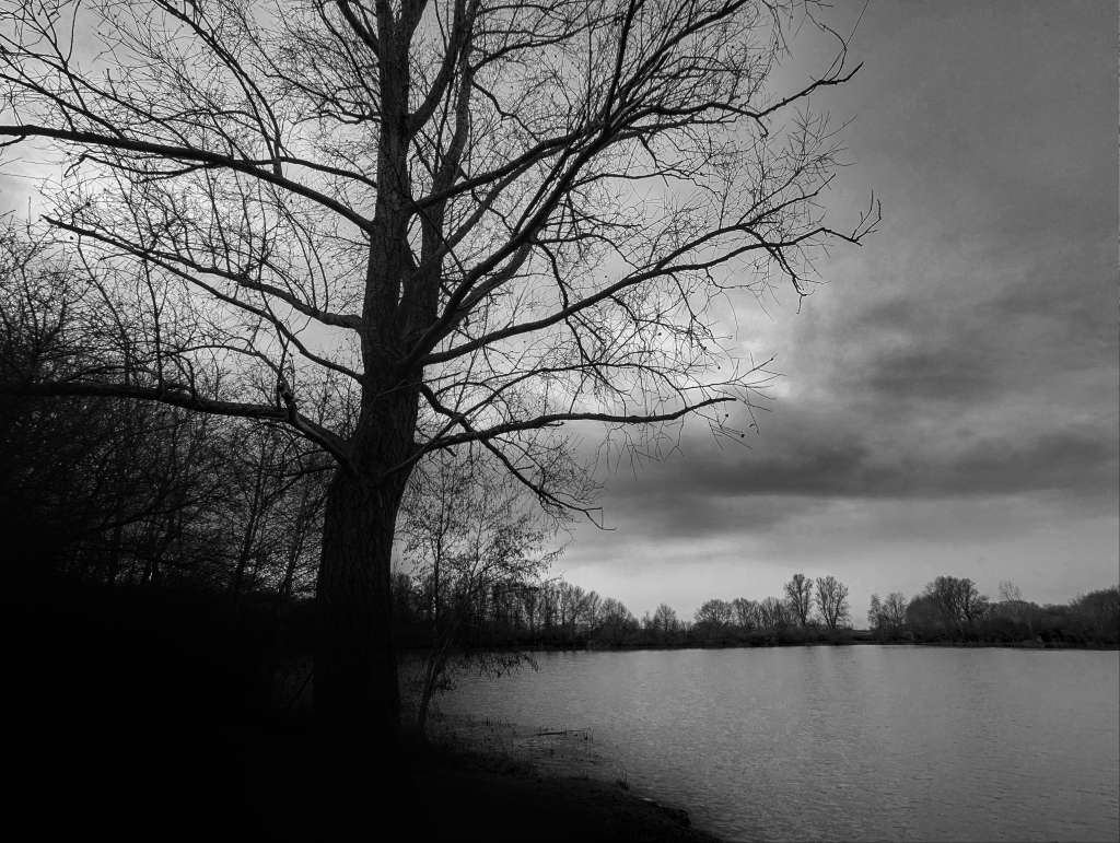 Oddments 2024 RAW_01