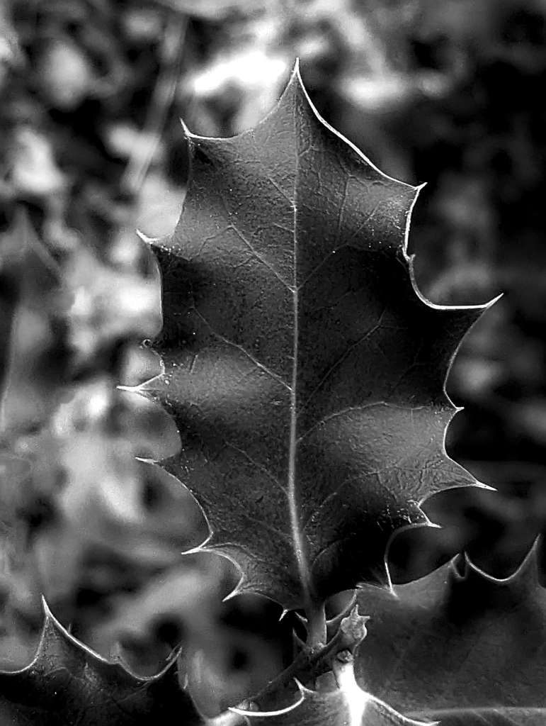 Oddments 2024 RAW_03